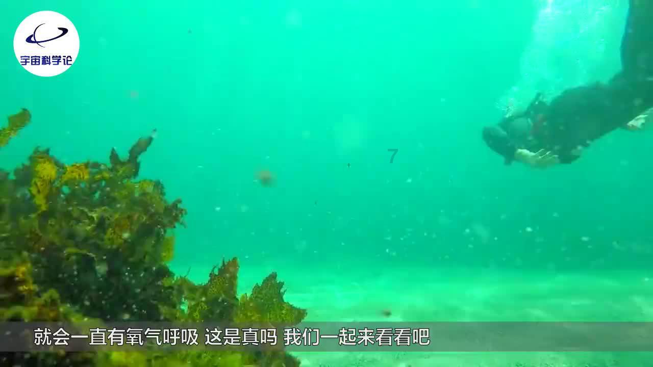 四川旅游景点，比较有名的有哪些啊？游戏画面
